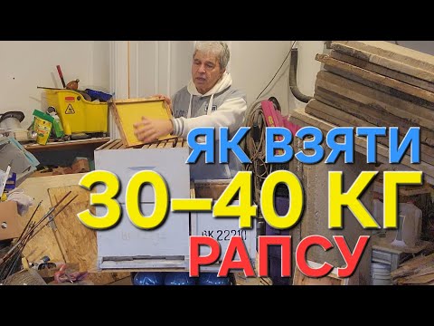 Видео: Як взяти 30–40 кг рапсового меду, без з'єднання сімей