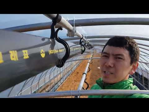 Видео: Теплицы как все устроено! 2 0 в Южной Корее - КОРЕЯ лайф