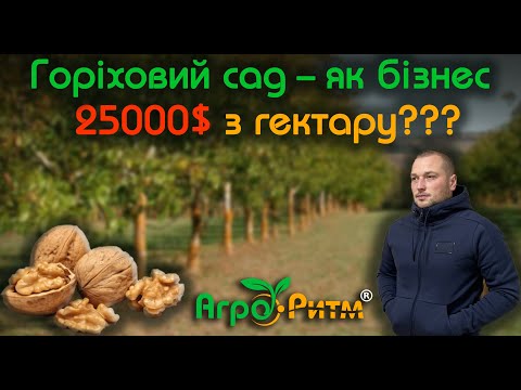 Видео: РУЙНУЄМО МІФИ:ЧИ МОЖНА ЗАРОБИТИ НА ГРЕЦЬКОМУ ГОРІХОВІ?5 РОКІВ МОЄМУ САДКУ.