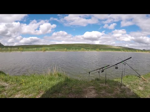 Видео: Карп. Жмых. Бойлы.Рыбалка на озере. Ставропольский край
