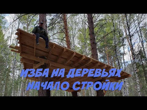 Видео: ЛЕСНАЯ СТОЛЯРКА / ПЛАТФОРМА НА ДЕРЕВЬЯХ