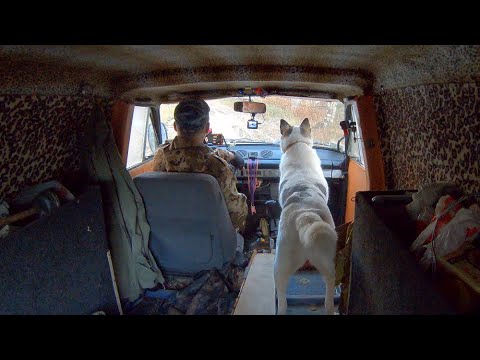 Видео: Таёжный иллюзион. Охота на рябчика.