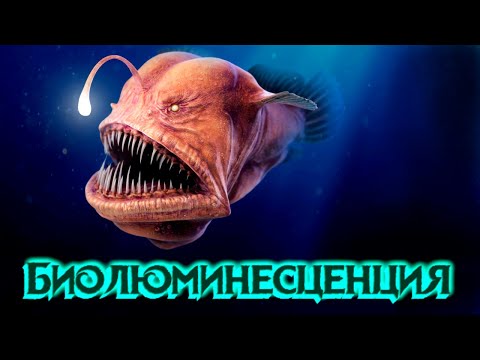 Видео: Биолюминесценция