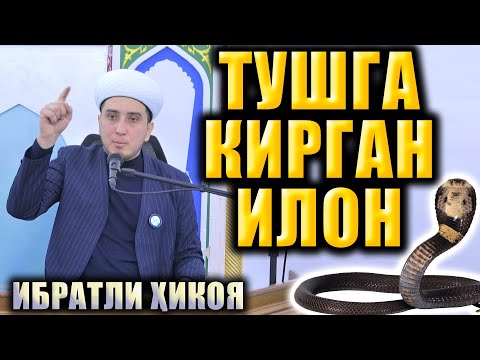 Видео: ТУШГА КИРГАН ИЛОН. ИБРАТЛИ ҲИКОЯ