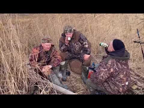 Видео: Отдых и Охота на гуся на Белом море