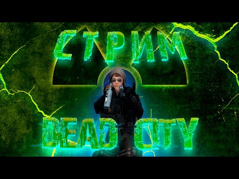 Видео: Будни жмыха?🌙 в ЧЗО Dayz RP stream Dead City