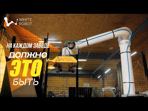 Видео: Роботы на большом пищевом заводе