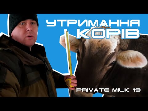 Видео: Утримання корів. Розміри стійла | Private Milk | Травецький