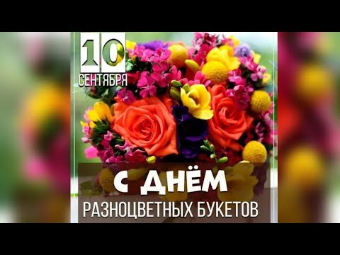 Видео: Среда