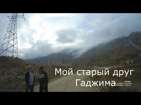 Видео: Мой старый друг Гаджима 2022