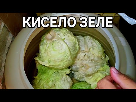 Видео: КИСЕЛО ЗЕЛЕ -  КЛАСИЧЕСКА РЕЦЕПТА!МАСАТА НА БЪЛГАРИНА ПРЕЗ ЗИМАТА Е БЕДНА БЕЗ КИСЕЛОТО ЗЕЛЕ!