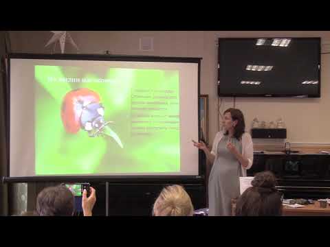 Видео: «Препараты группы насекомых» тематический семинар Ашихминой М. В. д. 1 ч. 1 (введение)