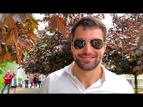 Видео: Может когда-нибудь я решусь | Собаки развлекаются на новом газоне 🍀КАЙФ 🐾VLOG