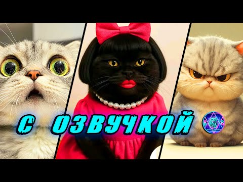 Видео: 🔥 Приколы с котами! - С ОЗВУЧКОЙ! СМЕШНЫЕ КОТЫ! Самые смешные животные! Попробуй не засмеяться! 2025