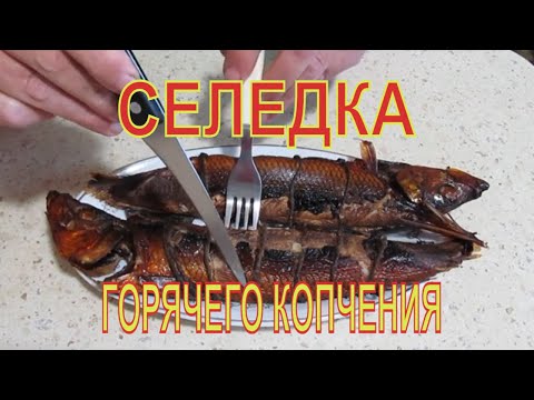 Видео: СЕЛЬДЬ горячего КОПЧЕНИЯ (РЕЦЕПТ и ДЕГУСТАЦИЯ)