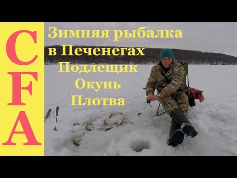 Видео: ЗИМНЯЯ РЫБАЛКА в ПЕЧЕНЕГАХ, район Черного леса: подлещик, окунь, плотва... ПЕЧЕНЕГИ, ЧЕРНЫЙ ЛЕС
