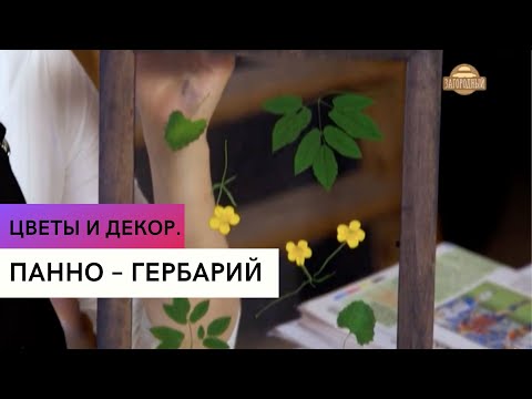 Видео: Панно – гербарий \ Цветы и декор.