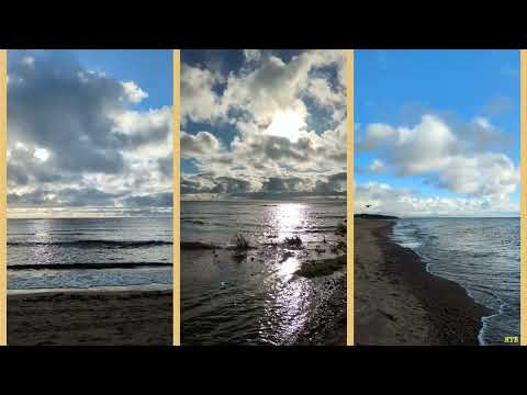 Видео: Краски Балтийского  моря