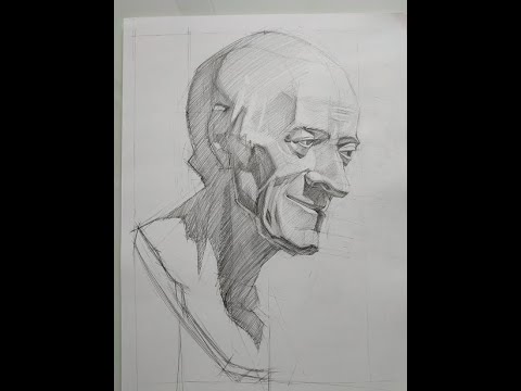 Видео: Конструктивный рисунок гипсовой головы Вольтера.