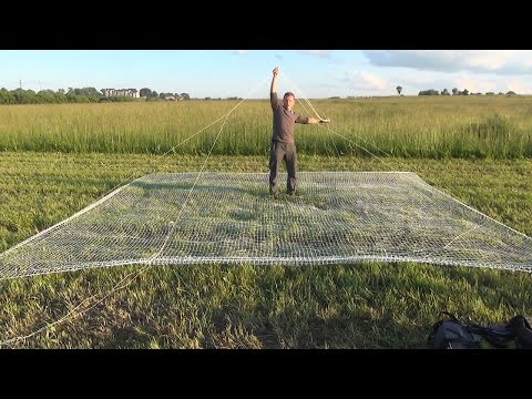 Видео: Гуманная ловушка для животных, подъёмная сеть. Общество защиты животных "Велес".