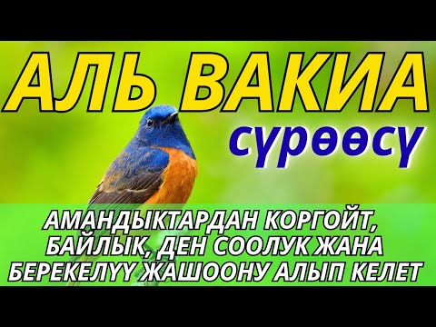 Видео: Аль-Вакиа сүрөсүнүн керемети | Берекелүү жашоо жана ийгилик