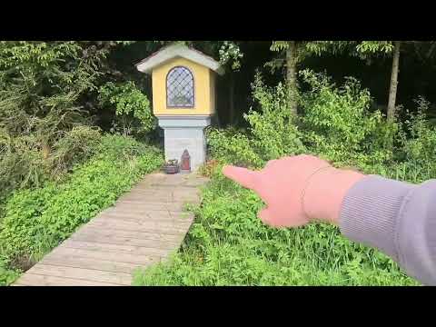 Видео: Село в Німеччині. Чому так чисто? Навіщо стригти траву в лісі? Чому стовпи дерев'яні?