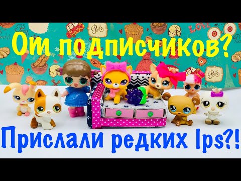 Видео: LPS: ПРИСЛАЛИ РЕДКИХ LPS!? (Mail time #9)