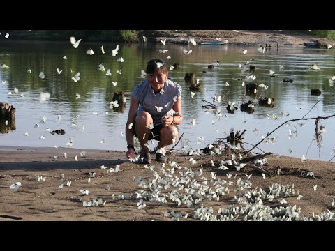 Видео: Взяли детдомовцев, чтобы спасти деревню и школу от закрытия. Чем обернулась эта история?