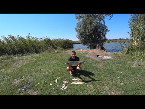 Видео: Рыбалка с ночевкой! Сазан, Амур, Карась. Супер улов.