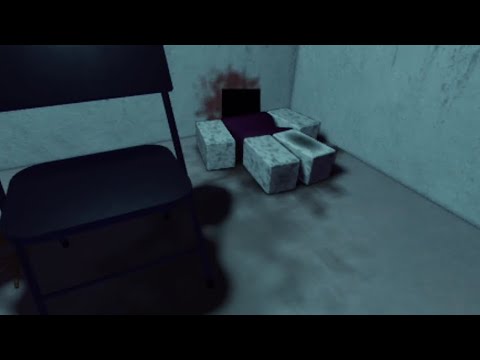 Видео: Что-то или кто-то в книжной полке...