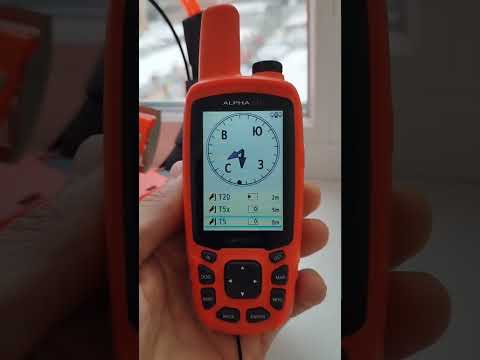 Видео: Модели ошейников Garmin Т20, Т5х, Т5 с акустическим датчиком лая HD Bark Detect. Сезон 2024/2025