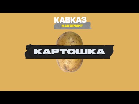 Видео: Кавказ накормит: картошка