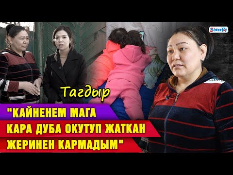 Видео: "Кайненем мага кара дуба окутуп жаткан жеринен кармадым" | Тагдыр