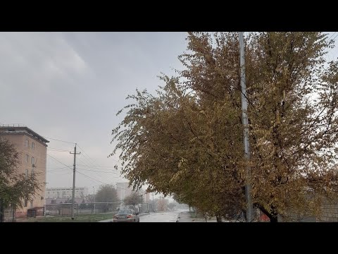 Видео: Менің туылған күнім 🎉|Влог |Ауырдым 🤒