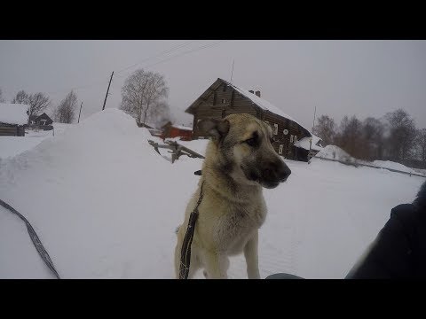 Видео: Ловля налима на Сямозере | Установка жерлиц | Первый улов