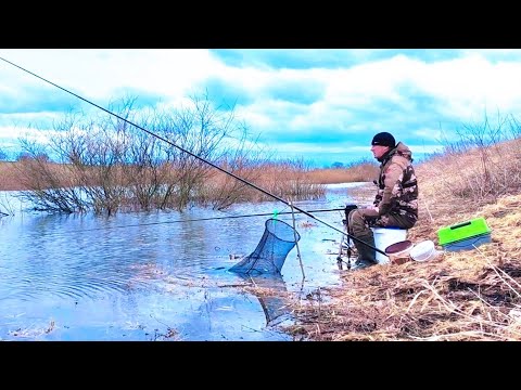 Видео: Открытие сезона ЛОВЛИ на ПОПЛАВОК!!! Это весна!!!