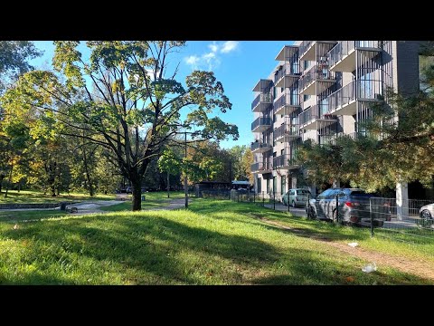 Видео: Рига, Агенскалнские сосны, прогулка-болталка