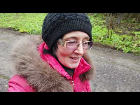 Видео: Почему переезд в Ленобласть - удачная мысль