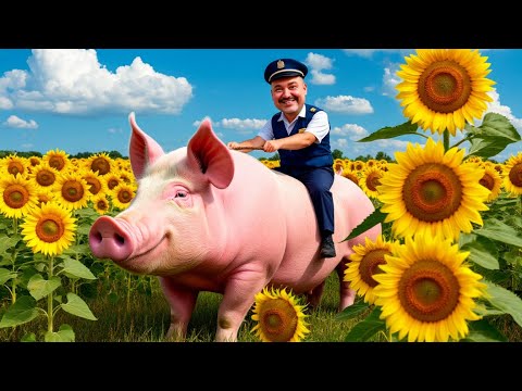 Видео: СВИНОПОШТА ОТ МОШЕННИКОВ 