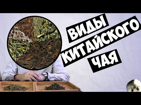 Видео: Начинающим. Виды китайского чая.