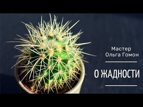 Видео: О жадности