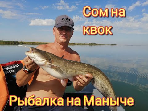 Видео: Сом на квок. Рыбалка и супер отдых на Маныче.