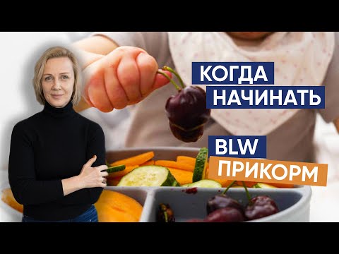 Видео: Когда начинать BLW прикорм