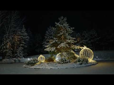 Видео: Вечерний Доброград