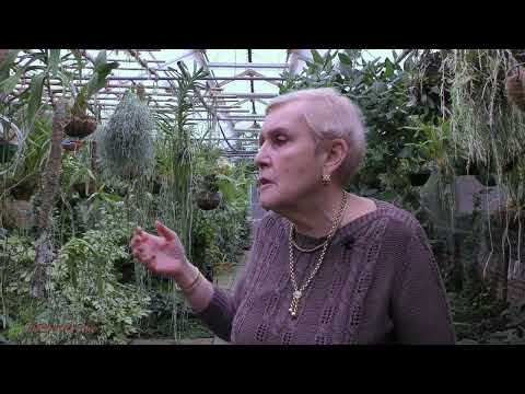 Видео: Здравствуйте, уважаемые подписчики, давно не виделись)