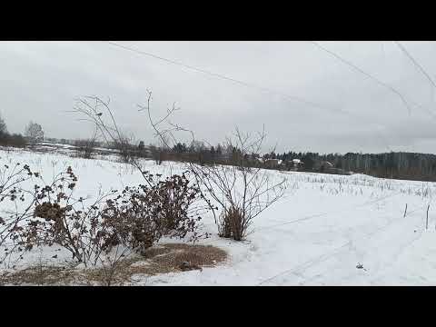 Видео: Fishing for goldfinches,ловля щеглов 29.01.2024.