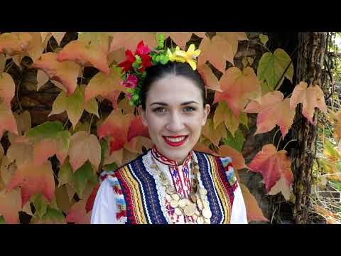 Видео: Илия Луков - "Малино моме"