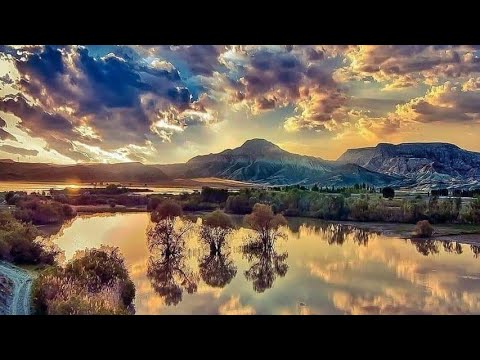 Видео: Урок 43. Коллективное парение  в Бане