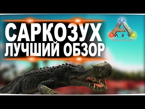 Видео: Саркозух (Sarcosuchus) в АРК. Лучший обзор: приручение, разведение и способности  в ark