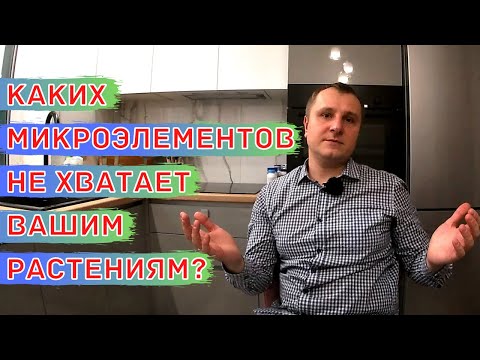 Видео: Дефицит микроэлементов у растений / Как визуально определить / Как вносить микроудобрения правильно